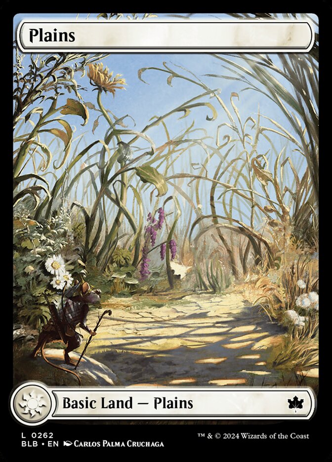 MTG Card Title: Plains BLB/262
