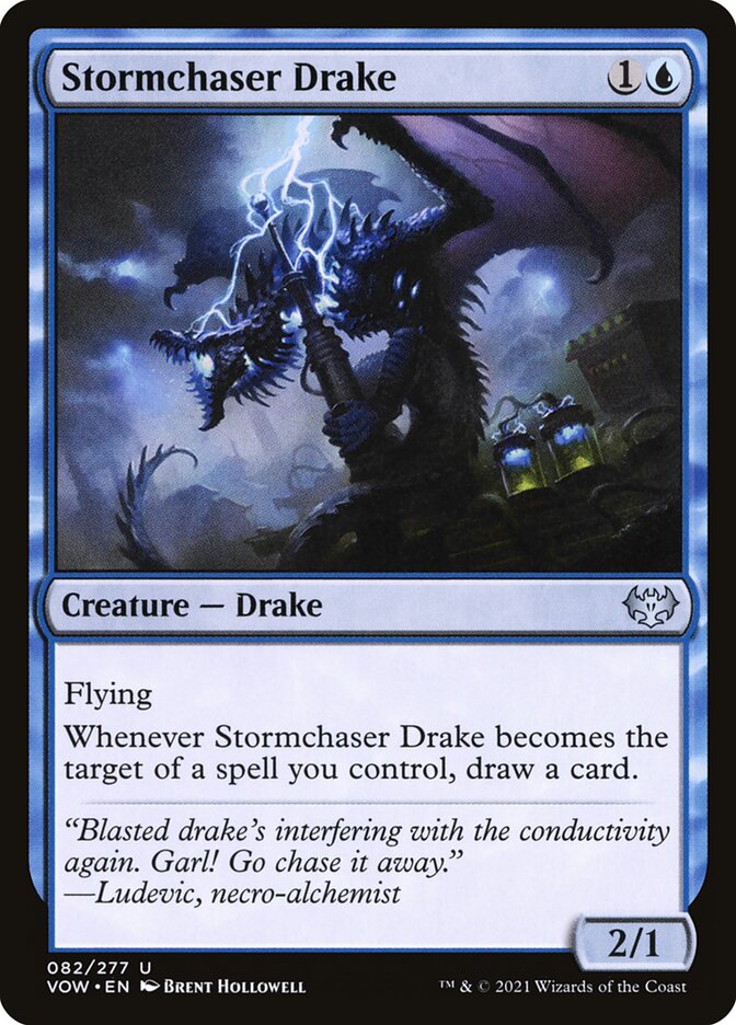 MTG Card Title: Stormchaser Drake VOW/82