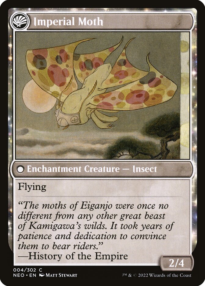 Befriending the Moths // Imperial Moth NEO/4