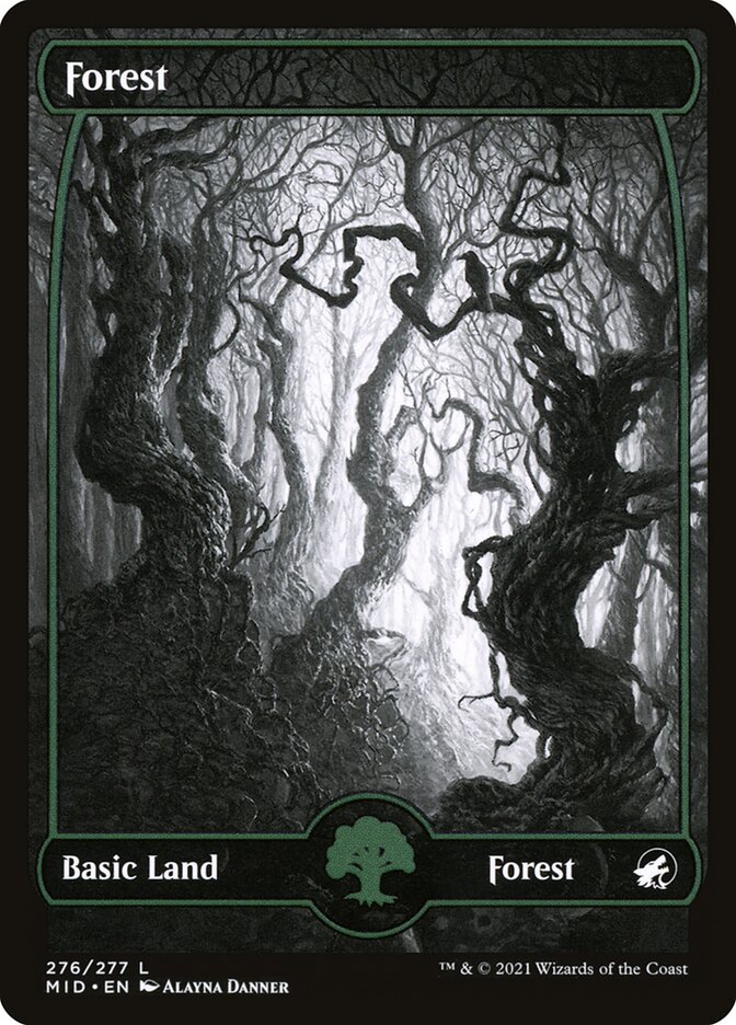 MTG Card Title: Forest MID/276