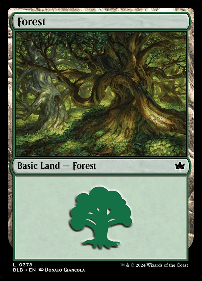 MTG Card Title: Forest BLB/378