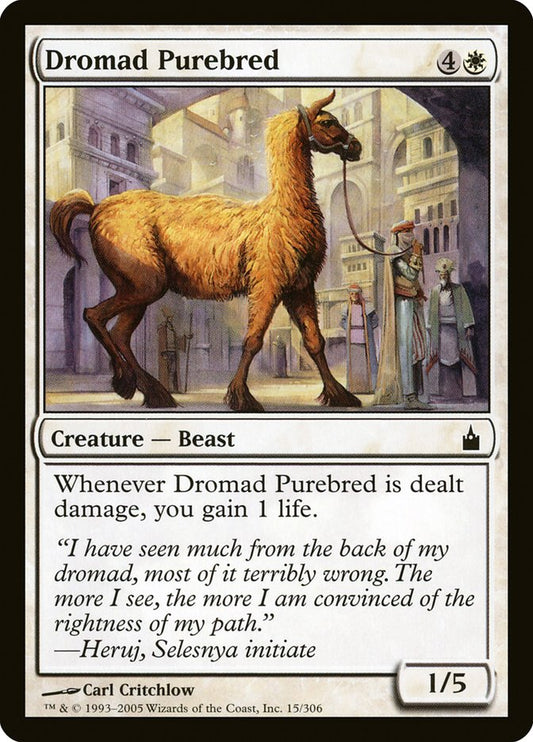 MTG Card Title: Dromad Purebred RAV/15