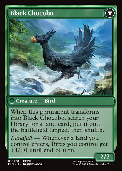 Sidequest: Raise a Chocobo // Black Chocobo FIN/201