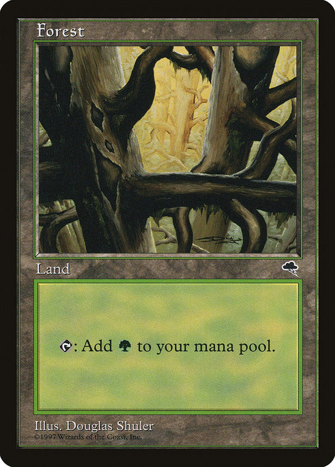 MTG Card Title: Forest TMP/350