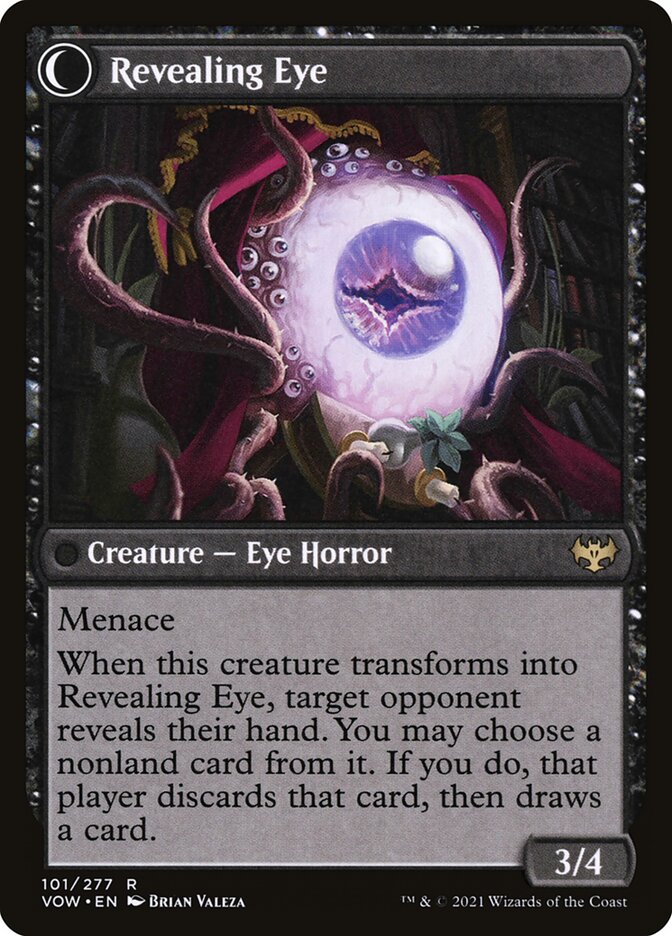 Concealing Curtains // Revealing Eye VOW/101