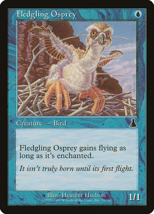 MTG Card Title: Fledgling Osprey UDS/33