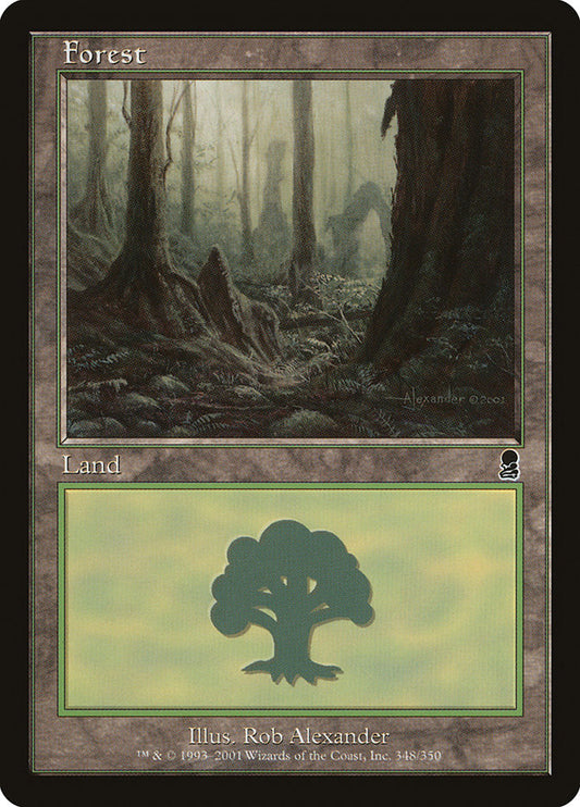 MTG Card Title: Forest ODY/348