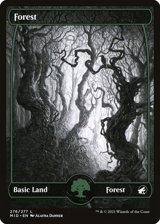 MTG Card Title: Forest MID/276