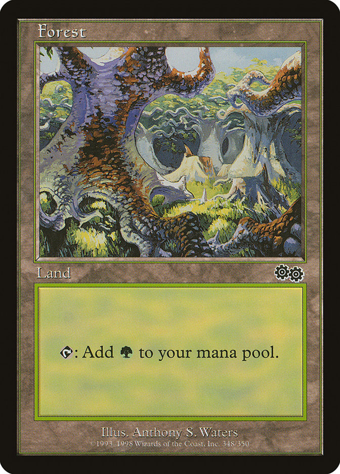 MTG Card Title: Forest USG/348