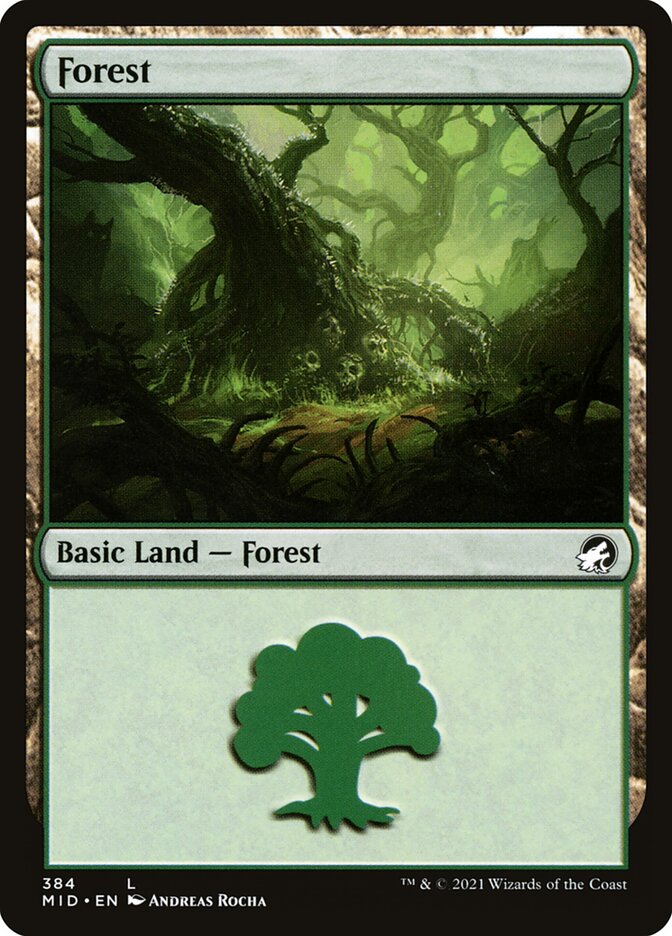 MTG Card Title: Forest MID/384